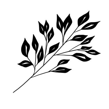 Taslak çiçeğin karalama çizimi, yapraklar. Çiçek grafikleri