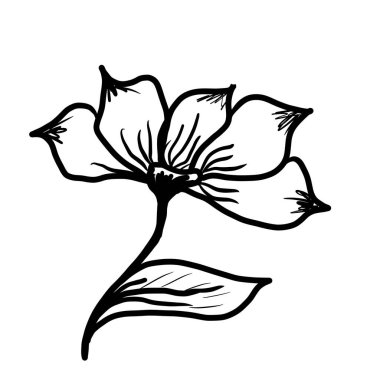 Taslak çiçeğin karalama çizimi, yapraklar. Çiçek grafikleri