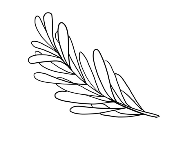 Doodle illustration of outline flower, leaves. Floral graphics — Stock Photo, Image