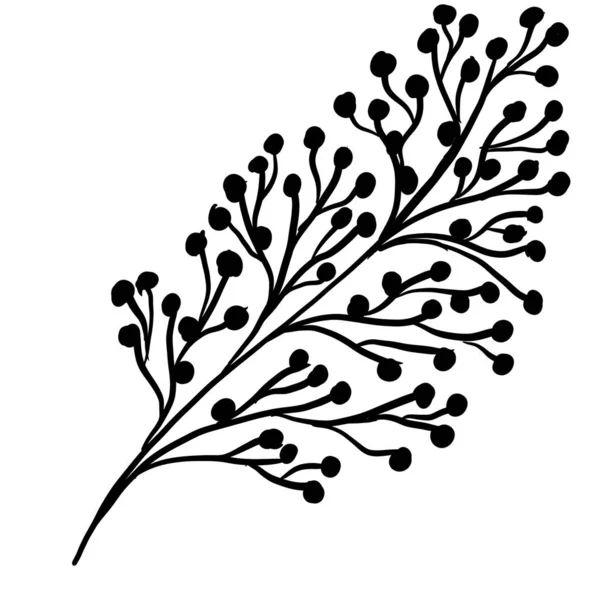 Doodle ilustración del contorno de flores, hojas. Gráficos florales — Foto de Stock