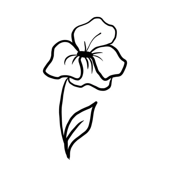 Doodle απεικόνιση του περίγραμμα λουλούδι, φύλλα. Floral γραφικά — Φωτογραφία Αρχείου
