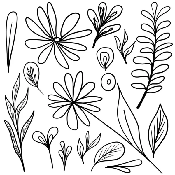 Συλλογή εικόνων Doodle με διάφορα λουλούδια, φύλλα και πεταλούδες. Σύνολο από ανθοκράμβες — Φωτογραφία Αρχείου