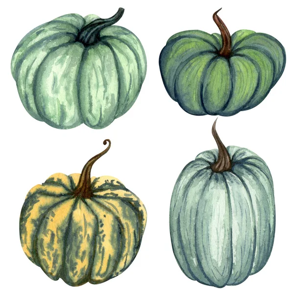 Dýně akvarel. Ručně kreslené podzimní ilustrace různých dýní. — Stock fotografie