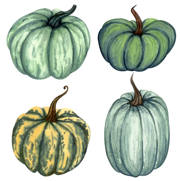 Aquarel pompoen set. Handgetekende herfstillustratie van verschillende pompoenen. — Stockfoto