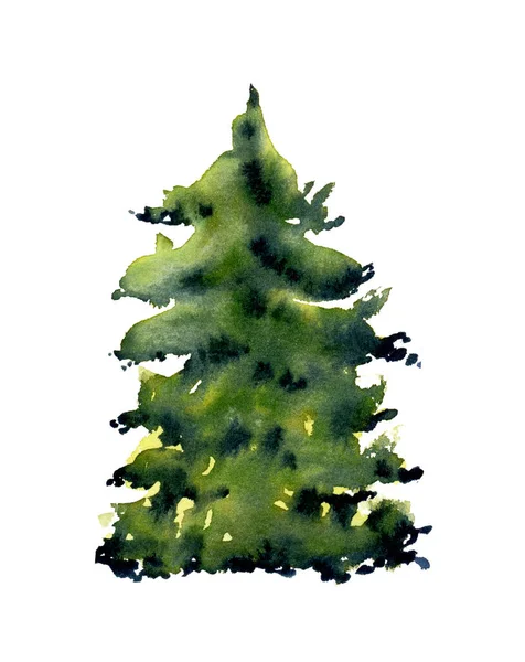 Acuarela de pino aislado en blanco. Ilustración pintada a mano — Foto de Stock