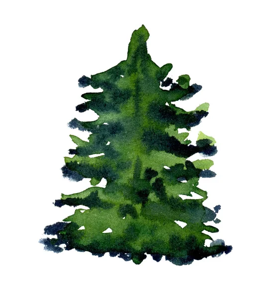 Acuarela de pino aislado en blanco. Ilustración pintada a mano —  Fotos de Stock