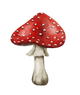 Suluboya tehlikeli zehirli mantarlar kırmızı Amanita muscaria vahşi mantar sonbahar orman ormanlarından doğal sezon Cadılar Bayramı için mükemmel tekstil ambalaj kağıdı.