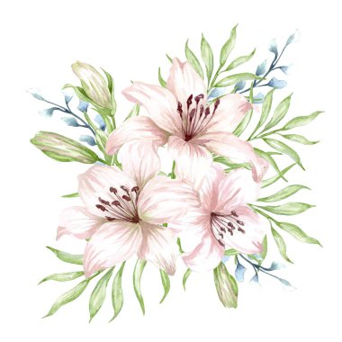 Zambaklar, pembe çiçekleri izole edilmiş beyaz arka plana koyun, suluboya illüstrasyon, koleksiyon, tebrik kartı