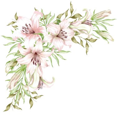 Zambaklar, pembe çiçekleri izole edilmiş beyaz arka plana koyun, suluboya illüstrasyon, koleksiyon, tebrik kartı