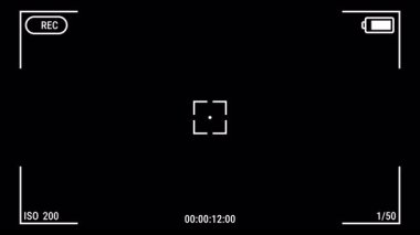 Kamera görüntüleyicisi, kayıt ekran kamerasını alfa kanalını görüntüler.