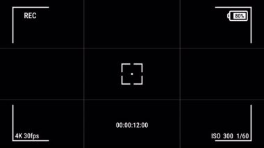 Kamera görüntüleyici kayıt ekranı alfa kanalını kaplıyor