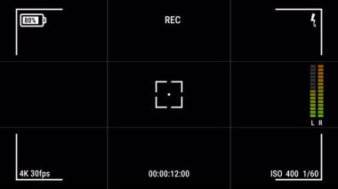 Kamera görüntüleyici kayıt ekranı alfa kanal izleme kamerasının üzerini örtüyor