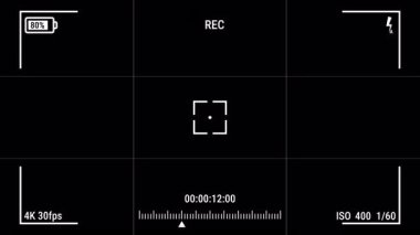 Kamera görüntüleyici kayıt arızası alfa kanalı üzerinde