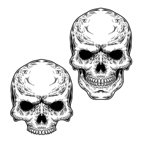 2 つの頭蓋骨のセット — ストックベクタ
