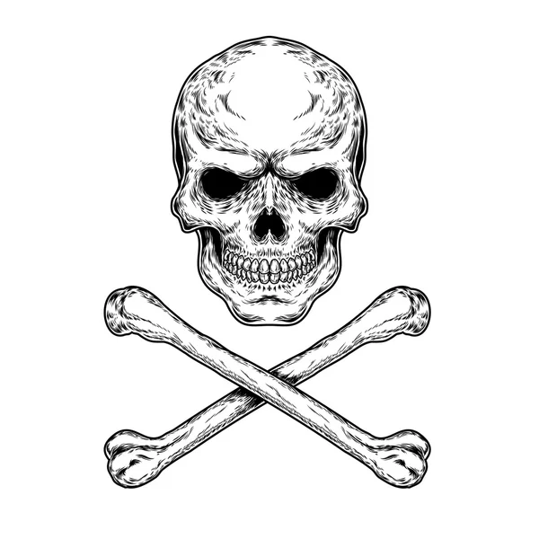 Ilustración vectorial de un cráneo y huesos cruzados — Archivo Imágenes Vectoriales