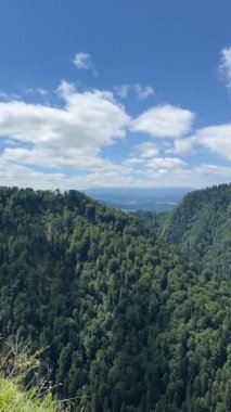 Dunajec Nehri 'nin ve Polonya' daki Pieniny Ulusal Parkı 'ndaki dağların havadan görüntüsü. Manzaralı dağ manzarası, doğa yolculuğu, açık hava macerası, yürüyüş yeri, panoramik manzara, turizm.