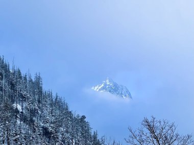 Lomnicky dikişleri, yüksek Tatra 'daki sisli bulutların arasından yükseliyor, karlı ormanlarla çevrili, soğuk mavi ve beyaz tonlarla görkemli bir kış dağı manzarası yaratıyor..