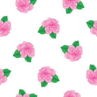 güzel pembe çiçek