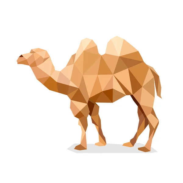 Camel geométrico feito com triângulos . — Vetor de Stock