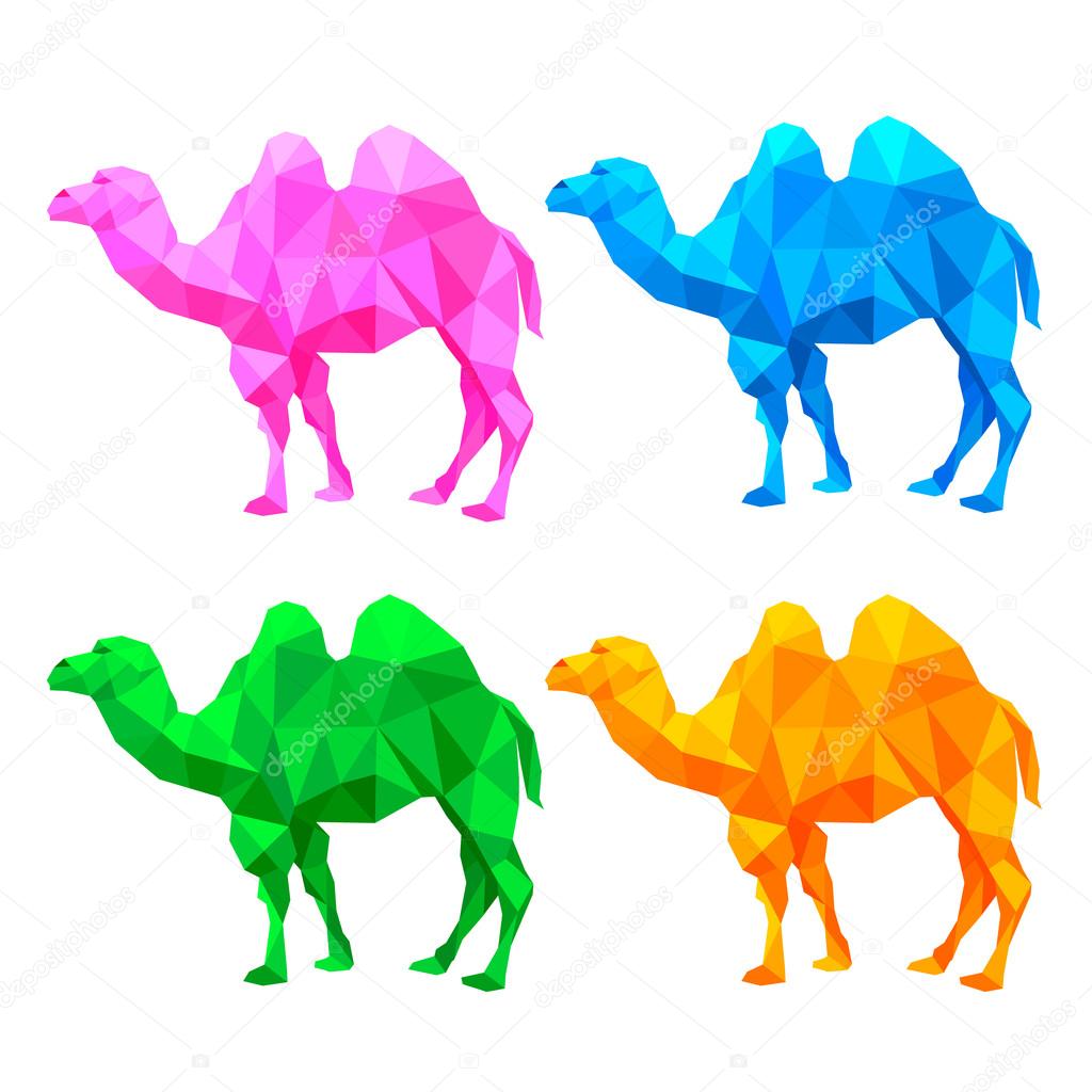 Colorful Geometric Camel Made With Triangles Vector Image By C Wowow Vector Stock