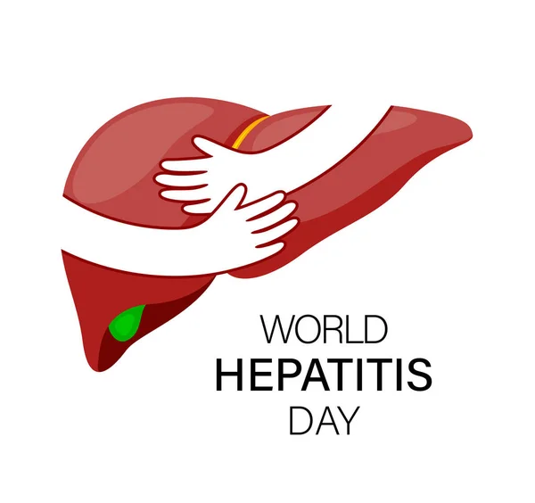 Hände Umarmen Die Menschliche Leber Welttag Der Hepatitis Gesundheitskonzept Vektorillustration — Stockvektor