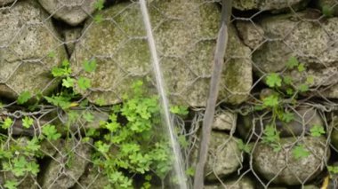 Bahçe hortumu sızdırıyor. Tesisat sorunu. Su hortumun hasarlı bir bölümünden fışkırıyor..