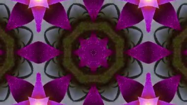 Kaleydoskopik Görüntüler Çiçek ve Geometrik Şekillerle Büyüleyici Soyut Animasyon.