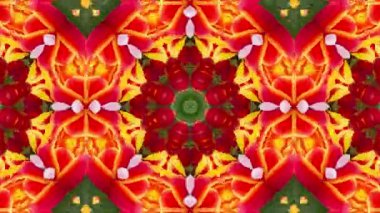 Lalelerin ışıl ışıl çiçek açması, çiçeklerin güzelliği ve her projeyi aydınlatacak çarpıcı renkler..