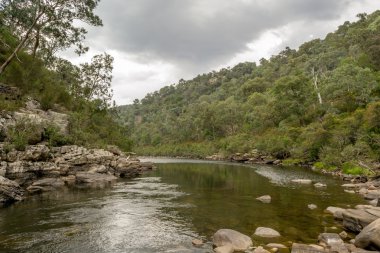 Mitchell River in Gippsland, Victoria, Australia clipart