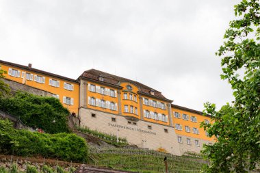 Meersburg, Almanya - 29 Mayıs 2025: Staatsweingut Meersburg (Meersburg Eyalet Şaraphanesi), üzüm bağlarına bakan dış cephe binası