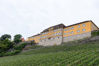 Meersburg, Almanya - 29 Mayıs 2025: Staatsweingut Meersburg (Meersburg Eyalet Şaraphanesi), üzüm bağlarına bakan dış cephe binası