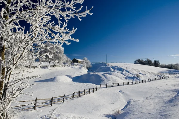 Χειμώνας Przepikna na Kaszubach — Φωτογραφία Αρχείου