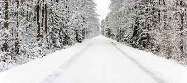 Winter Road Snow Coverd Trees Roads Podlasie Poland — Stock Photo, Image