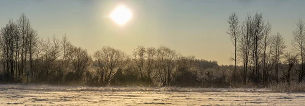 Заснеженные Замерзшие Поля Луга Восточная Польша Подляшье — стоковое фото