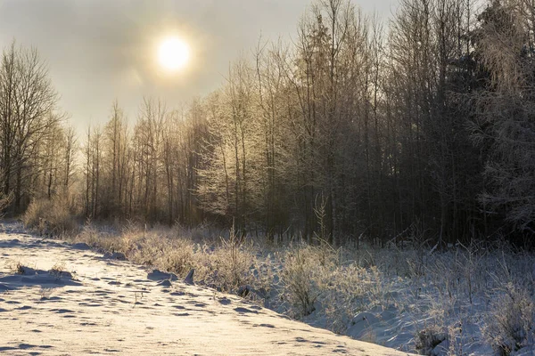 Snow Coverd Frozen Fields Meadows Eastern Poland Podlasie — Stock Photo, Image