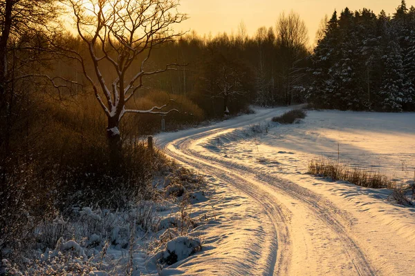 Snow Coverd Frozen Fields Meadows Eastern Poland Beautifu — Stock Photo, Image