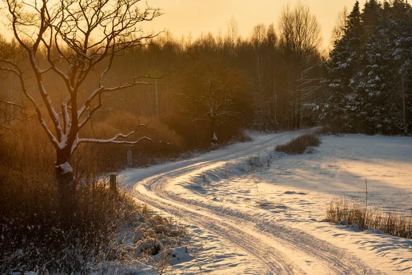 Χιόνι Coverd Κατεψυγμένα Χωράφια Και Λιβάδια Ανατολική Πολωνία Beautifu — Φωτογραφία Αρχείου