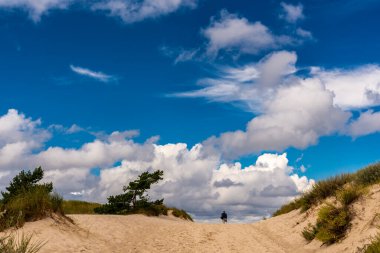 Güzel manzara manzarası, Baltık 'a yakın kum tepeciği, Yavaş