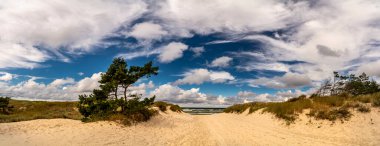 Güzel manzara manzarası, Baltık 'a yakın kum tepeciği, Yavaş