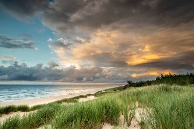 Güzel manzara manzarası, Baltık 'a yakın kum tepeciği, Yavaş