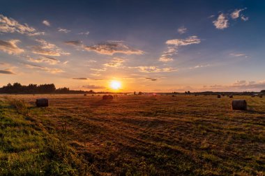 Gün doğumunda sisli çayır manzarası, Bia 'nın tampon bölgesi.