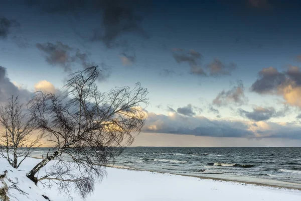 Piękna Zima Zobaczyć Krajobraz Bez Ludzi Panorama Sobies — Zdjęcie stockowe