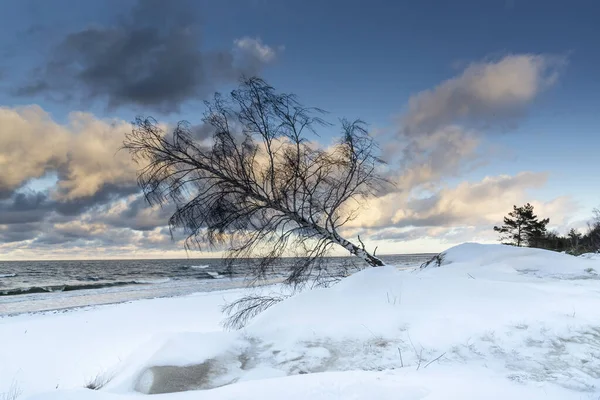 Krásná Zima Vidět Krajinu Bez Lidí Panorama Sobies — Stock fotografie