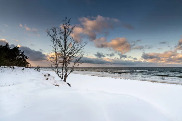 Krásná Zima Vidět Krajinu Bez Lidí Panorama Sobies — Stock fotografie