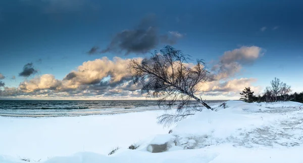 Krásná Zima Vidět Krajinu Bez Lidí Panorama Sobies — Stock fotografie