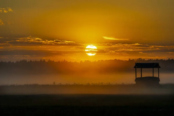 Туманная Панорама Лугов Восходе Солнца Буферная Зона Национального Парка Беловежский — стоковое фото
