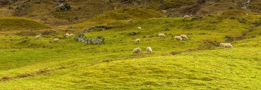 Çarpıcı manzara, İskoç manzarası, İskoçya, İskoçya