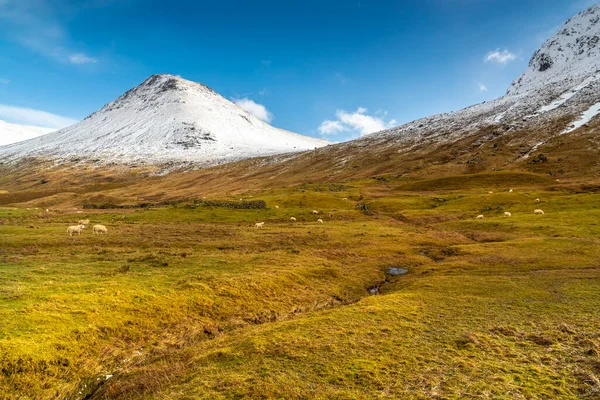 Tipikus Skót Panoráma Hegyek Felföld Skócia — Stock Fotó