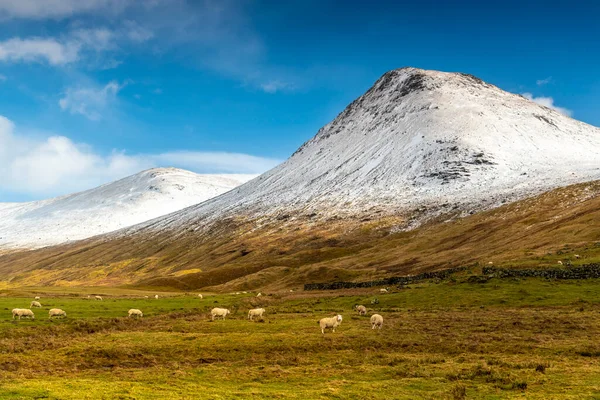 Typisk Skotsk Panorama Utsikt Berg Highlands Skottland — Stockfoto