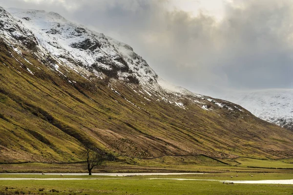 Vistas Panorámicas Escocesas Típicas Montañas Highlands Escocia — Foto de Stock